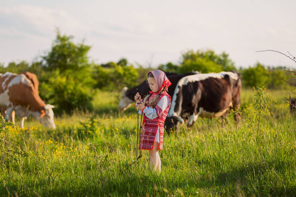 girl in a Ukrainian dress grazes cows - Фото, зображення