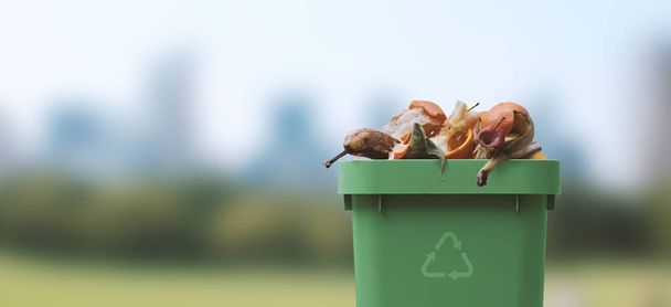 Garbage can full of organic waste, recycling and separate waste collection concept - Фото, зображення