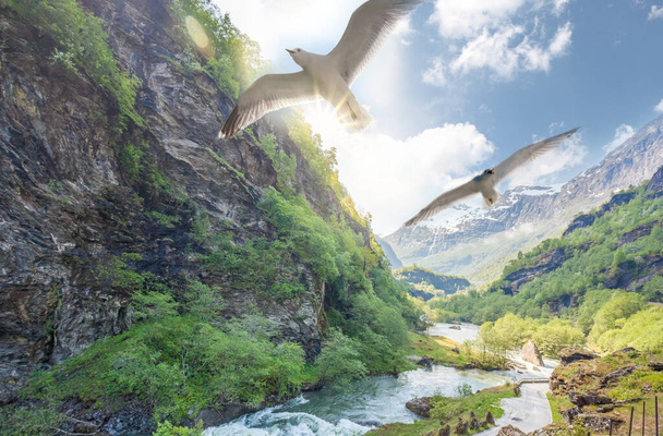 Deep valley with river of Norwegian fjords against seagulls close the train journey Flamsbana between Flam and Myrdal in Aurland in Western Norway - Photo, image