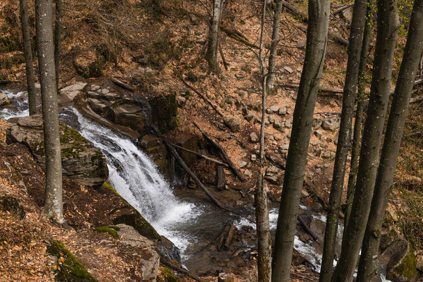 Magas szög kilátás patak közelében fák hegyi erdőben  - Fotó, kép