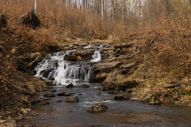Kövek a hegyi patakban az erdő közelében ősszel  - Fotó, kép