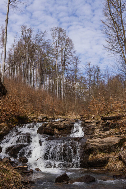 hegyi folyó erdőben kövekkel  - Fotó, kép