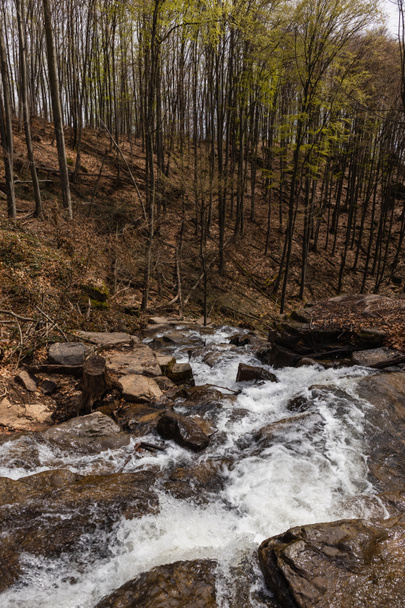 Kövek a hegyi patak vizében az erdőben  - Fotó, kép