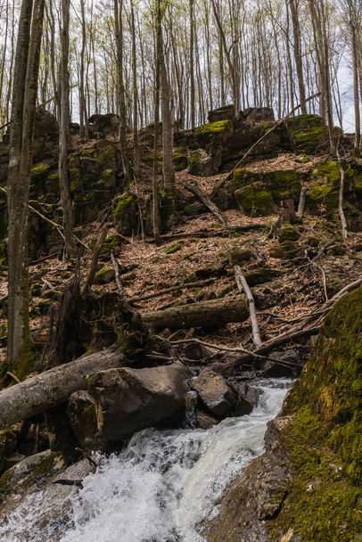 Alacsony szög kilátás hegyi folyó közelében kövek moha az erdőben  - Fotó, kép
