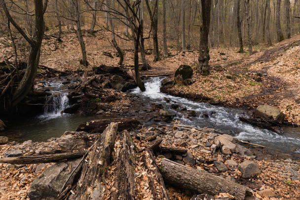Fa rönk kövek közelében és hegyi patak az erdőben  - Fotó, kép