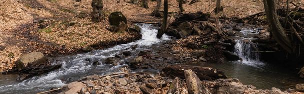 Hegyi folyó és kövek az erdőben ősszel, zászló  - Fotó, kép