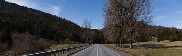 Prázdná cesta, hory a stromy s oblohou na pozadí, prapor  - Fotografie, Obrázek
