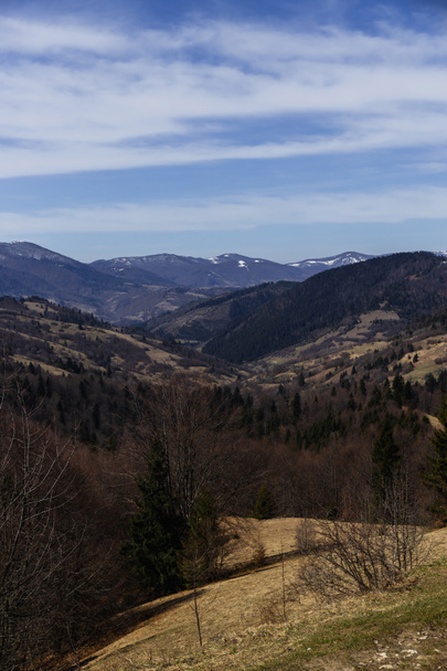 Δάσος σε λόφους των βουνών με μπλε ουρανό στο παρασκήνιο  - Φωτογραφία, εικόνα