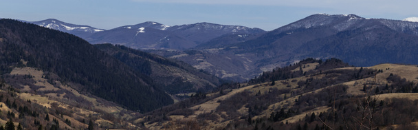 Forest on hills of mountains at daytime, banner  - Foto, afbeelding