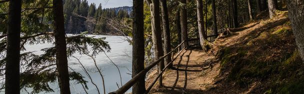 Passerella con luce solare vicino al lago con ghiaccio nella foresta, banner  - Foto, immagini