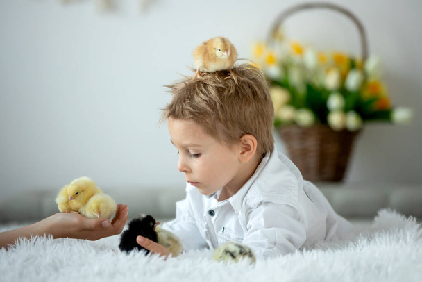 Cute child at home with little newborn chicks, enjoying, cute kid and animal friend in a sunny room - Fotografie, Obrázek