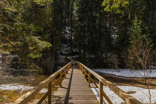 Bahar ormanında nehrin üzerindeki tahta köprü.  - Fotoğraf, Görsel