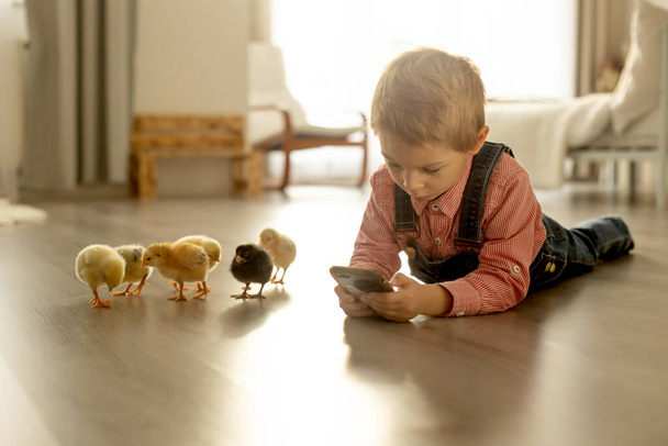 Cute child at home with little newborn chicks, enjoying, cute kid and animal friend in a sunny room - Valokuva, kuva