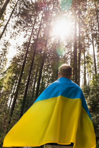 Pohled zezadu na muže v ukrajinské vlajce stojící v nejjistějším světle  - Fotografie, Obrázek