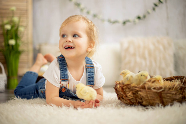 Cute child at home with little newborn chicks, enjoying, cute kid and animal friend in a sunny room - Fotoğraf, Görsel