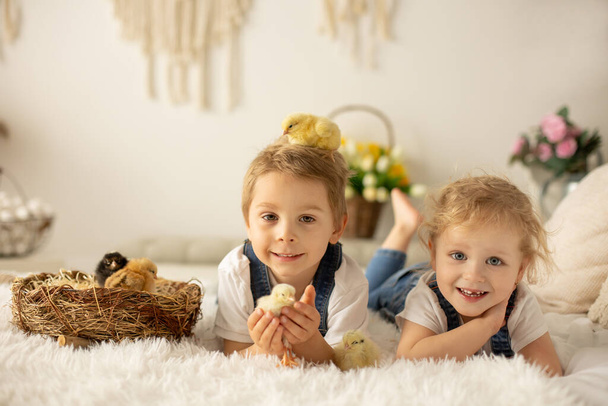 Cute children, boy and girl siblings at home with little newborn chicks, enjoying, cute kid and animal friend in a sunny room - Fotografie, Obrázek