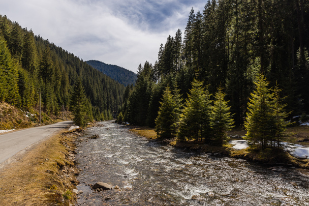 Κενός δρόμος κοντά στο βουνό ποτάμι και το δάσος ερυθρελάτης  - Φωτογραφία, εικόνα