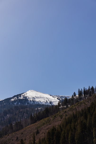 Vista panoramica della montagna con neve e cielo azzurro sullo sfondo  - Foto, immagini