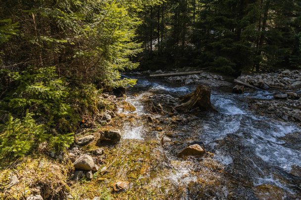 Magas szög kilátás hegyi folyó kövekkel az erdőben  - Fotó, kép