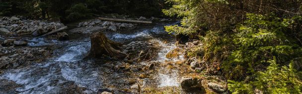 Magas szög kilátás hegyi folyó kövek az erdőben, banner  - Fotó, kép