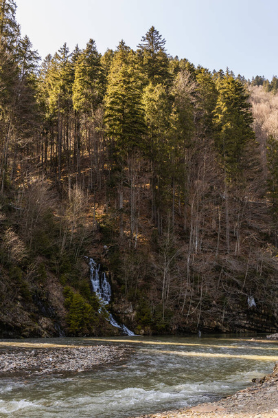 Pine trees on hill of mountain and river at daylight  - Foto, immagini