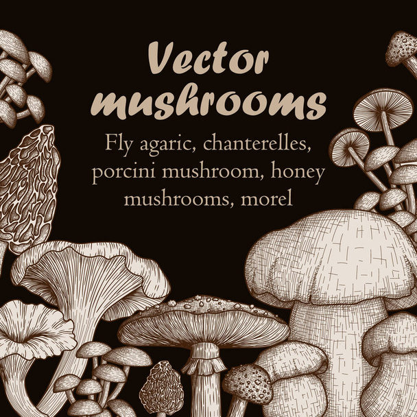  Vektorová sada lesních hub v rytém stylu. Grafická lineární muška agarická, chanterely, bílá houba, medové houby, smrž - Vektor, obrázek
