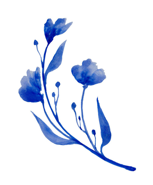 schöne blaue Blume isoliert auf weißem Hintergrund - Foto, Bild