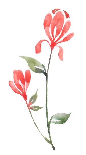 acuarela flores rojas 2 sobre fondo blanco - Foto, imagen