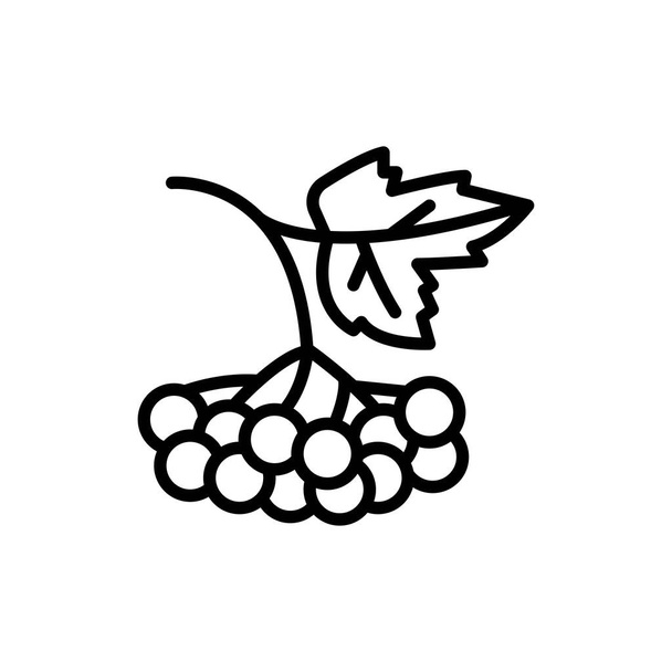 Berry guelder rose line color icon. Isolated vector element. Outline pictogram for web page, mobile app, promo - Vector, Image