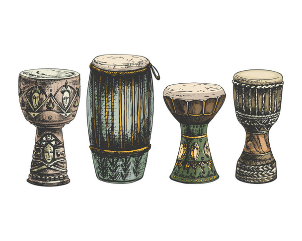 131_congas, darbuka_djembe congas high cuban drum, instrument, hand percussion, membranophone, darbuka, cuban drum, national symbol of egyptian music shaabi, djembe, west african drum, hand drawing, colorful, isolate - Вектор, зображення