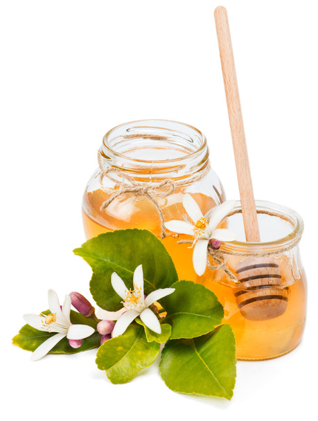 Honey in glass jars and flowers of lemon - Foto, Bild
