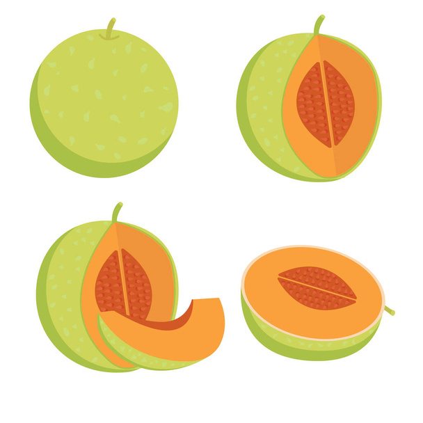 A set of different types of melon - Vector, imagen