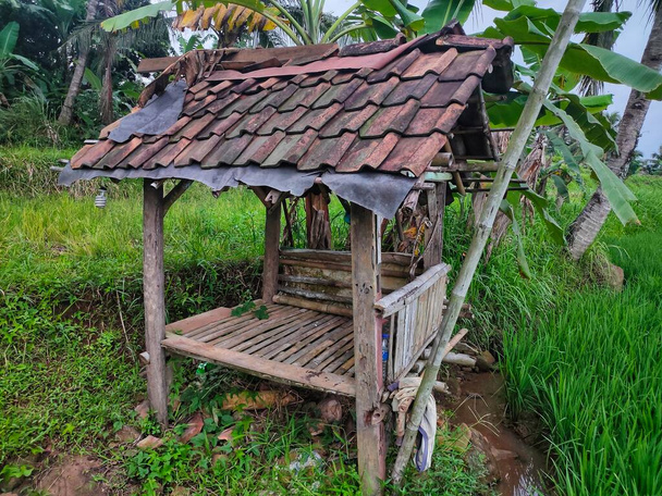 Malá budova v rýži, místo pro farmáře odpočinku v Indonésii - Fotografie, Obrázek
