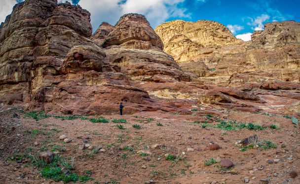 Rocky red mountains with green grass and blue skies in Petra Jordan - Foto, Imagem
