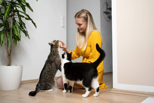 junge blonde Frau kniet auf dem Boden und füttert zwei Katzen mit Leckereien - Foto, Bild