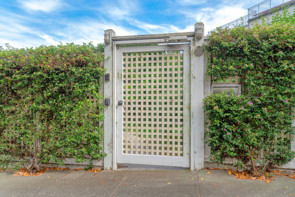 Puerta de una sola puerta con rejas y arbustos en la valla de San Francisco, California. Entrada de hormigón con buzón en la cerca derecha cerca de la puerta contra el cielo. - Foto, imagen
