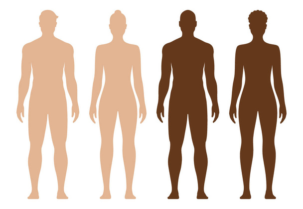 White and black male and female full body vector silhouette, isolated on background. - Vetor, Imagem