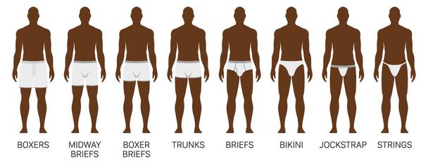 Vector set of mens underwear pants. Black male wearing different fashion underwear. - Vector, Image
