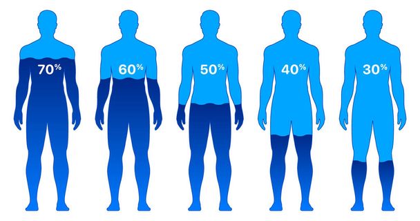 Férfi test különböző vízszint százalékok, vektor illusztráció, elszigetelt fehér alapon - Vektor, kép