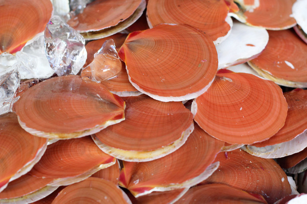 φρέσκα θαλασσινά στην αγορά - Φωτογραφία, εικόνα