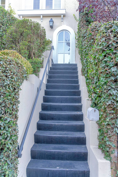 Treppe in der Mitte der Wände mit Weinreben, die auf ein gewölbtes Fenster in San Francisco, CA, zusteuern. Außentreppe mit schwarzer Betontreppe und Briefkasten rechts über das Handlauf-Geländer. - Foto, Bild