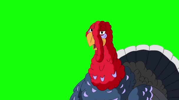 The turkey suddenly jumps out, screams and hides back. Handmade animated 4K footage isolated on green screen - 映像、動画