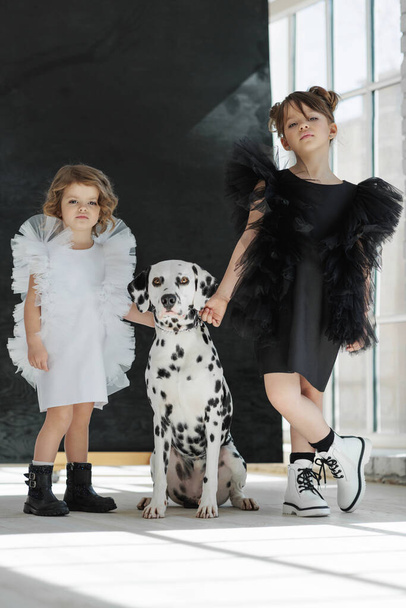 Gyerekes divat. A kislányok egy kutyával pózolnak divatos ruhákban.. - Fotó, kép