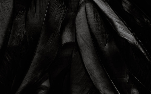 Black Bird Fethers Textured Background - Fotoğraf, Görsel