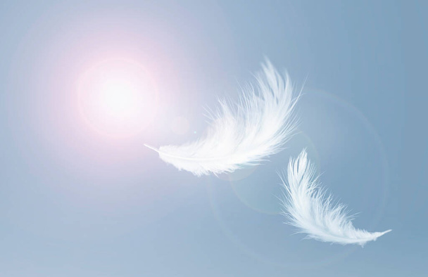White Fluffy Feathers Floating in the Sky. Swan Feathers Flying in Heavenly. - Zdjęcie, obraz