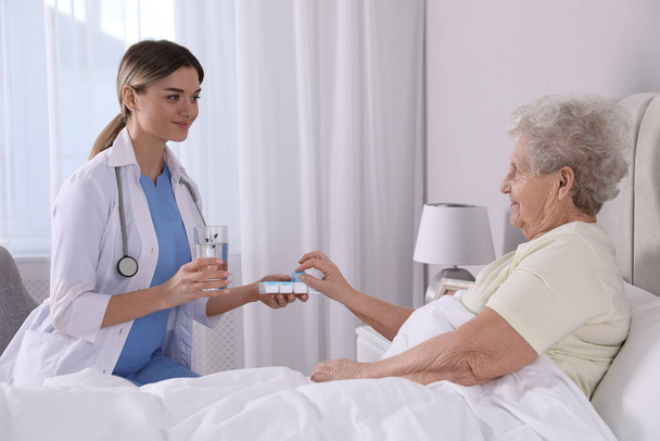 Young caregiver giving medication to senior woman in bedroom. Home health care service - Foto, Bild