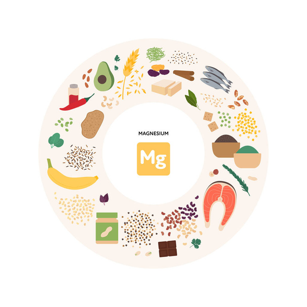 Concepto de guía de micronutrientes alimentarios saludables. Ilustración plana vectorial. Recogida de fuentes de productos de magnesio. Colorido conjunto de semillas, mariscos, verduras, frutas símbolo conjunto. - Vector, imagen