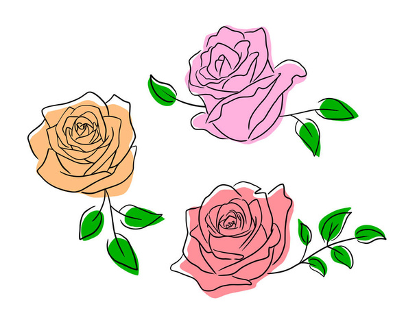Collection of roses. Vector illustration. Happy Valentine's day. - Vektör, Görsel