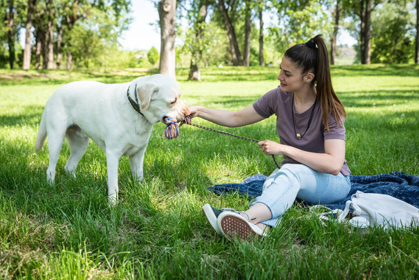 Young beautiful woman in the park with her pet dog white Labrador Retriever that she adopt from the pet shelter to give him good life and love. Female animal lover with her adopted puppy having fun. - Foto, Bild