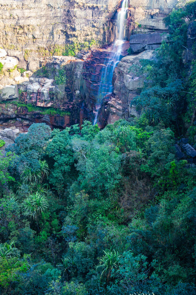 平らな角度から見た森の頂上から降る滝はインドのチェラプンジ・メガラヤ滝まで撮影されています. - 写真・画像